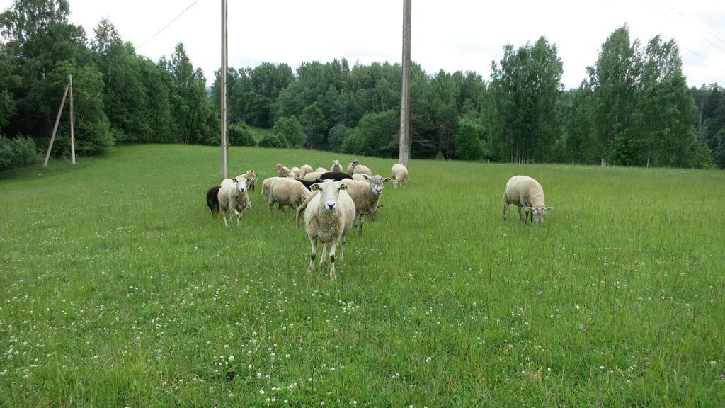 Maee Farm Villa Rouge Luaran gambar